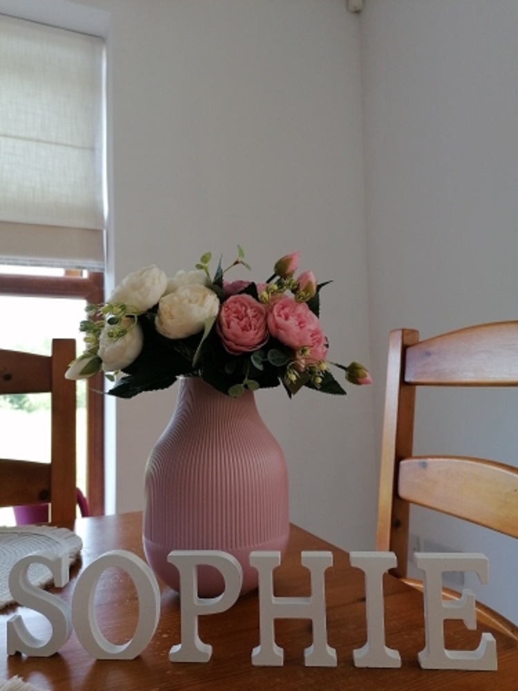 1pc 8CM White Wooden Letter En - Art Craft Names 评论和价格